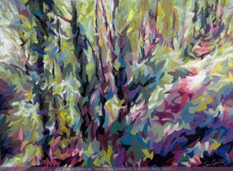 Sentier des grimpeurs, 2020